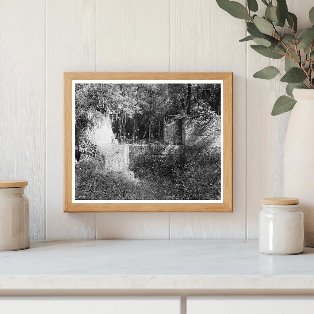 Fort Wimberly, Savannah GA, 1740-1750 History Photo