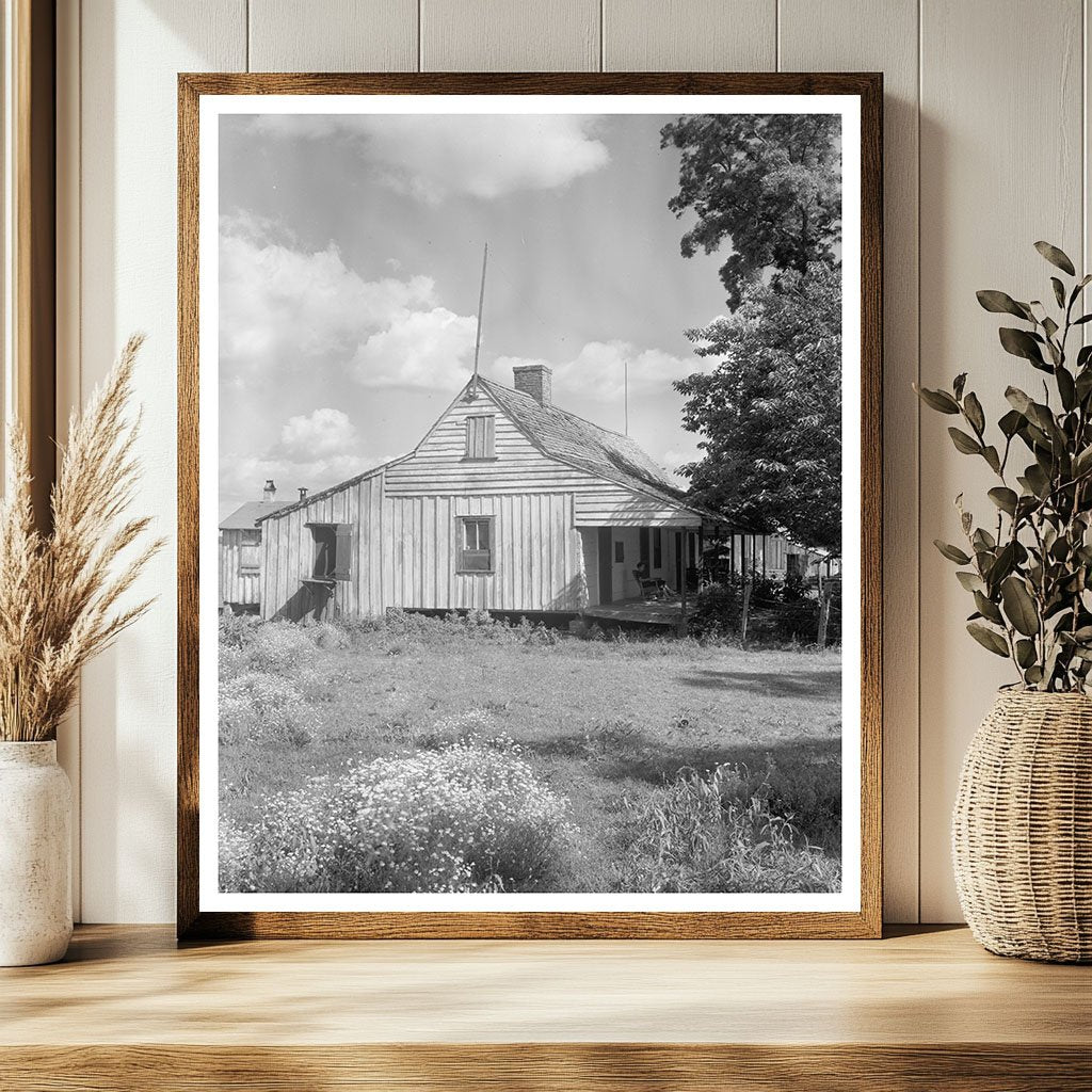 Vintage Cabins in Point Coupee, Louisiana, 20th Century