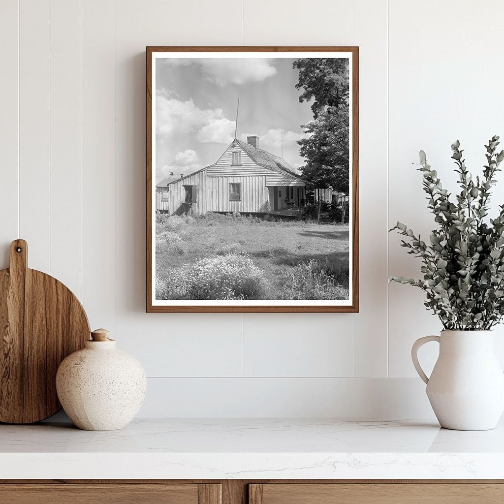 Vintage Cabins in Point Coupee, Louisiana, 20th Century