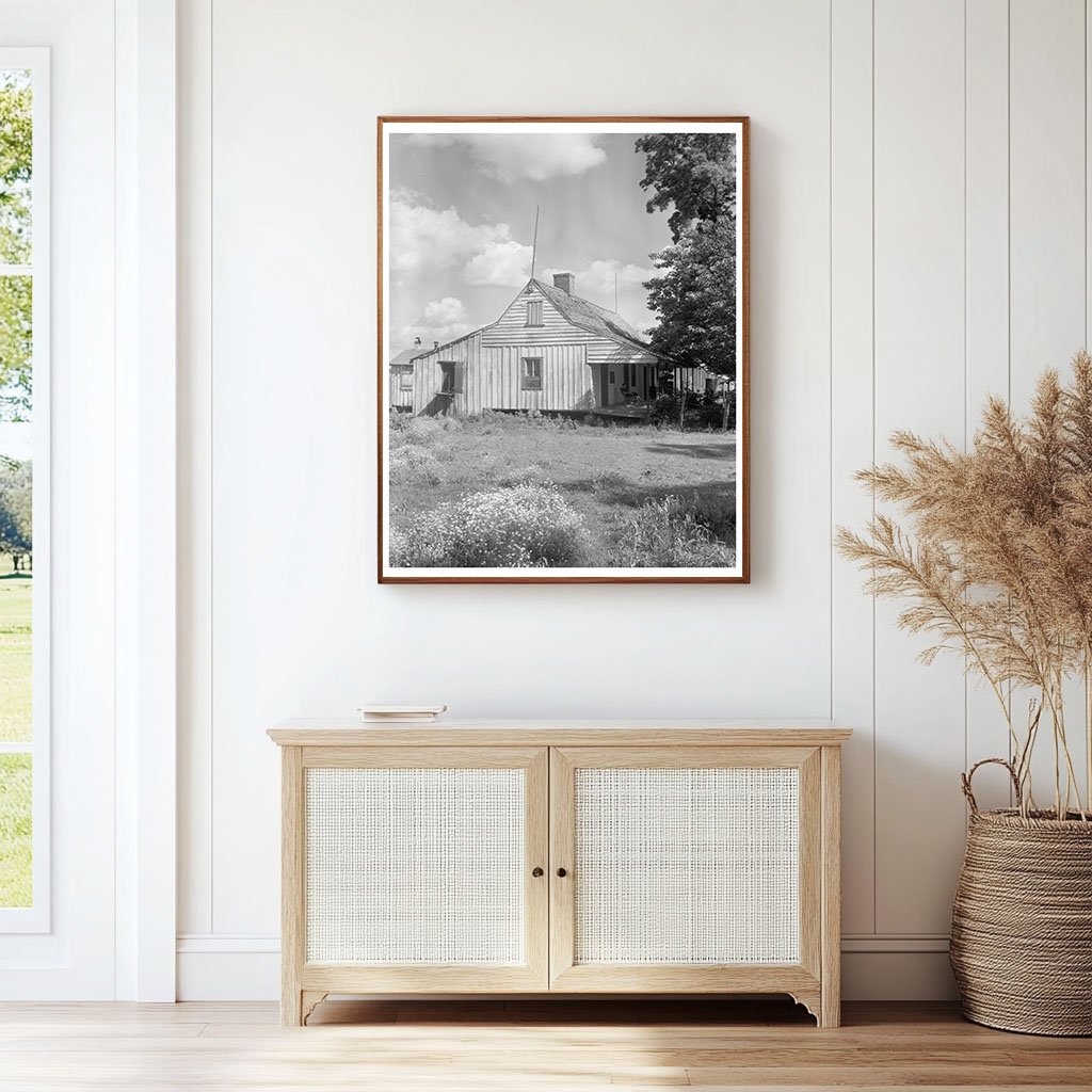 Vintage Cabins in Point Coupee, Louisiana, 20th Century