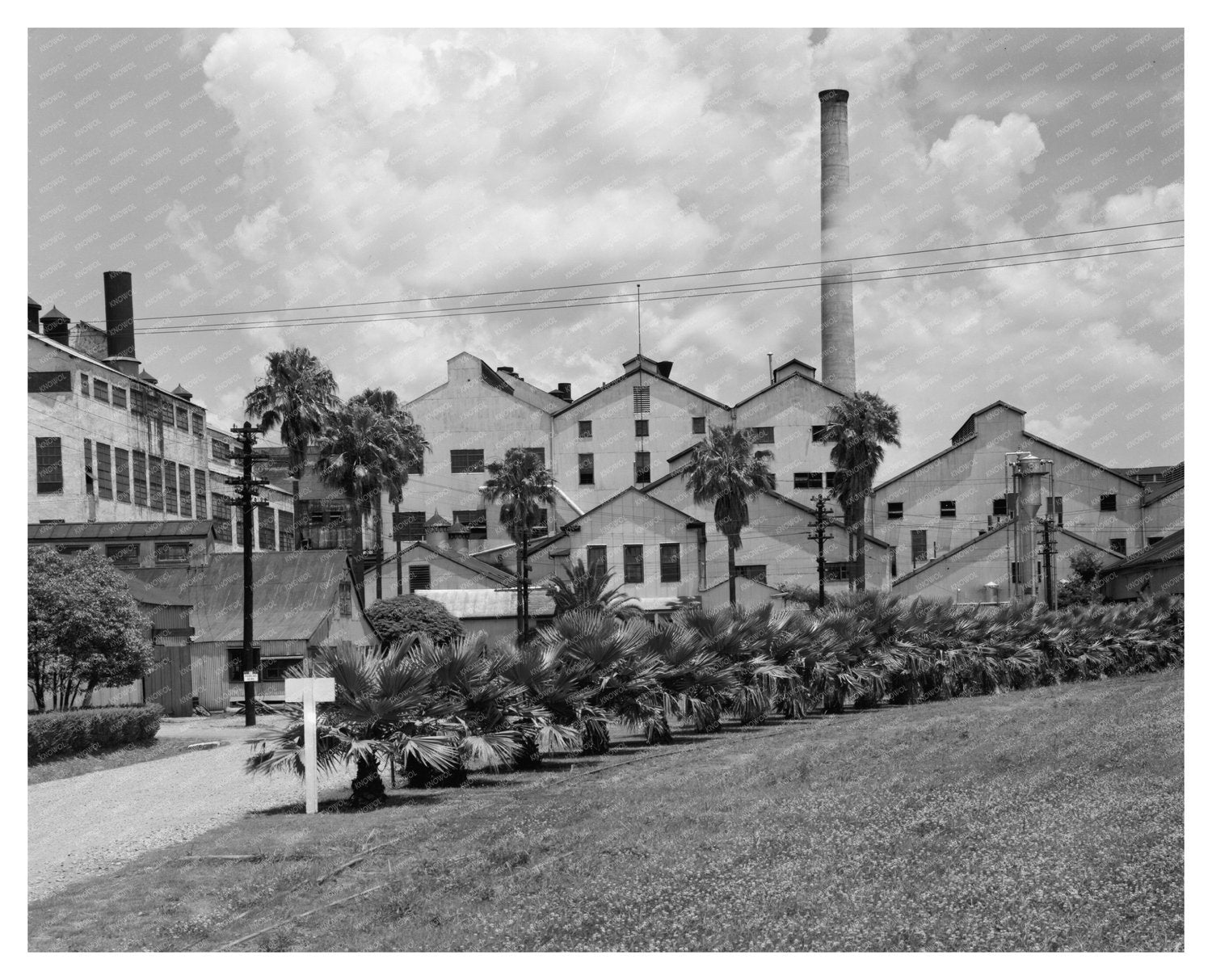 Industrial Scene in Reserve, LA - Sugar Industry 20th Centur