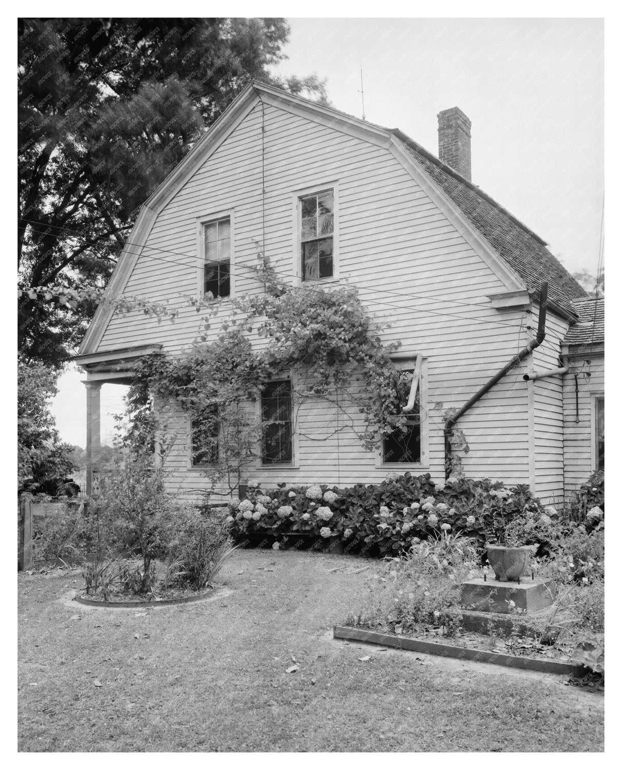 Vintage Lafayette Architecture, Louisiana 1953 Photo