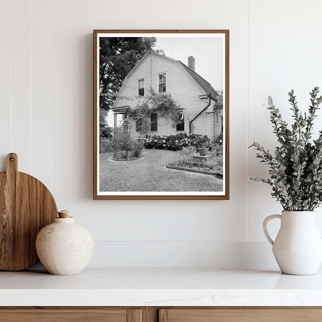 Vintage Lafayette Architecture, Louisiana 1953 Photo