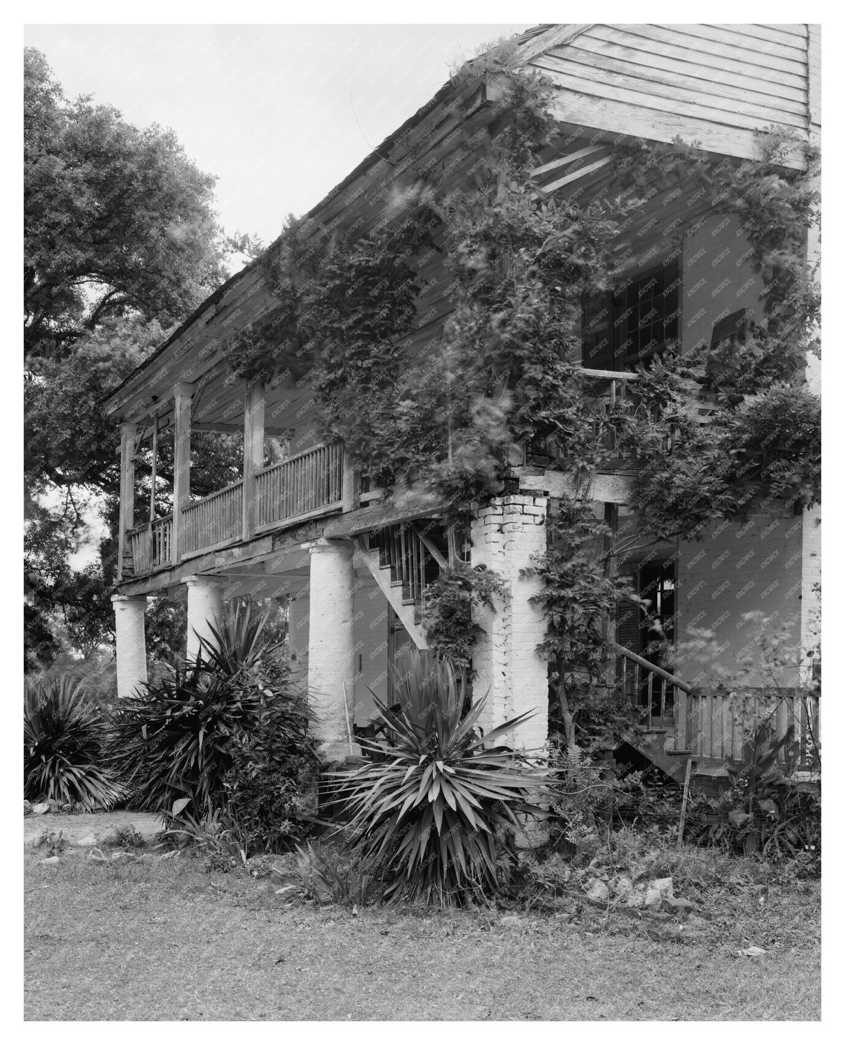 Historic Weyanoke Structure, W. Feliciana, LA 1800-1810