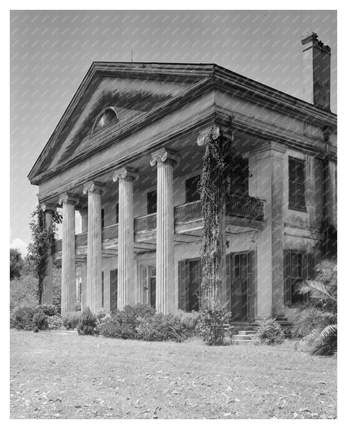 Napoleonville, LA 1846 Architecture Photo by Johnston