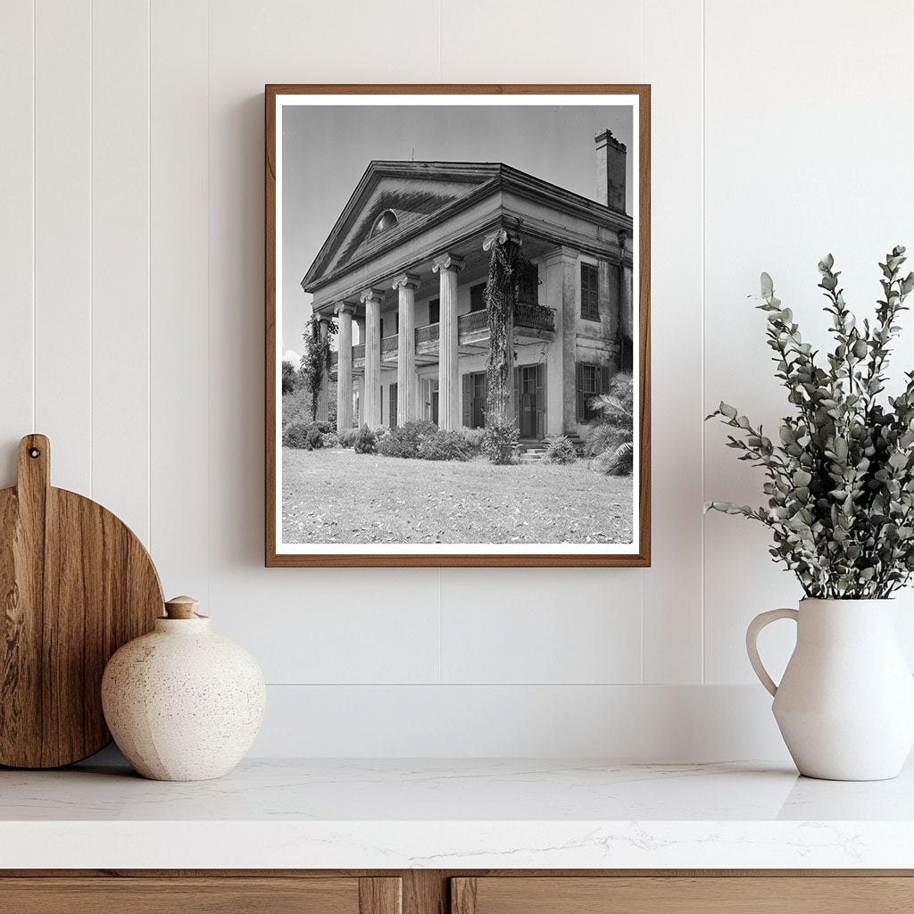 Napoleonville, LA 1846 Architecture Photo by Johnston