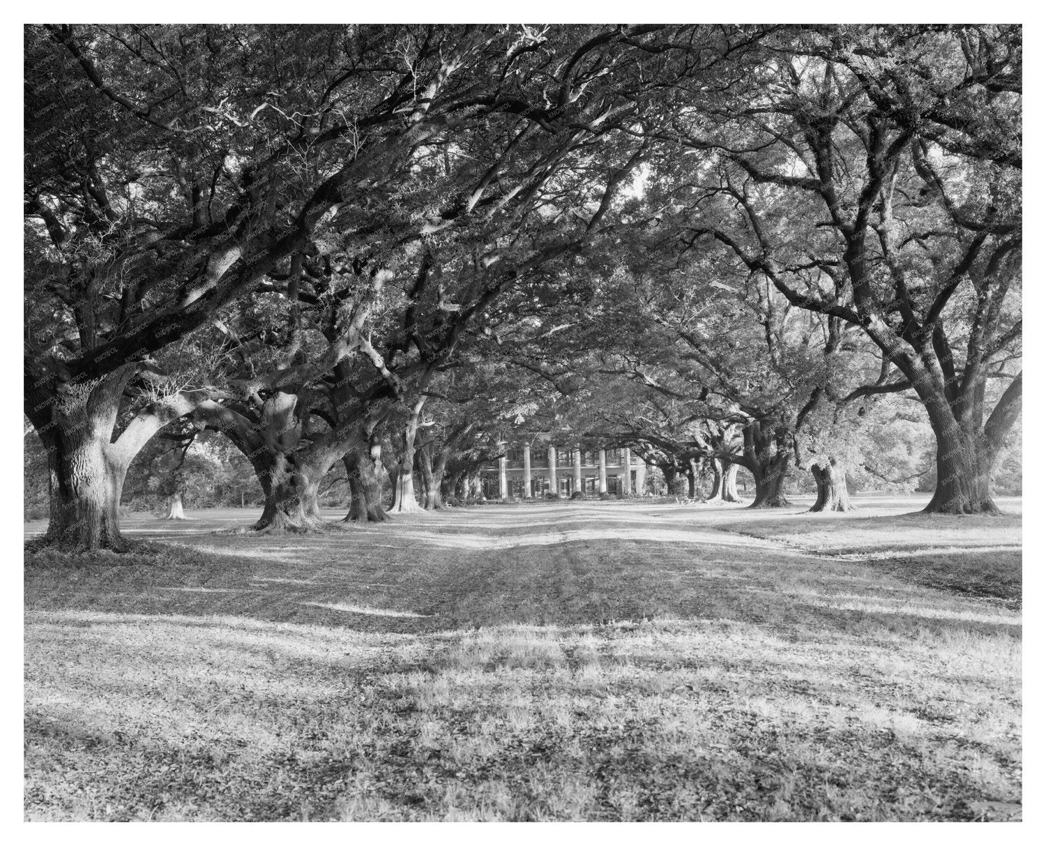 Bon Sejour Historic Home, Vacherie LA, 1836 Photo