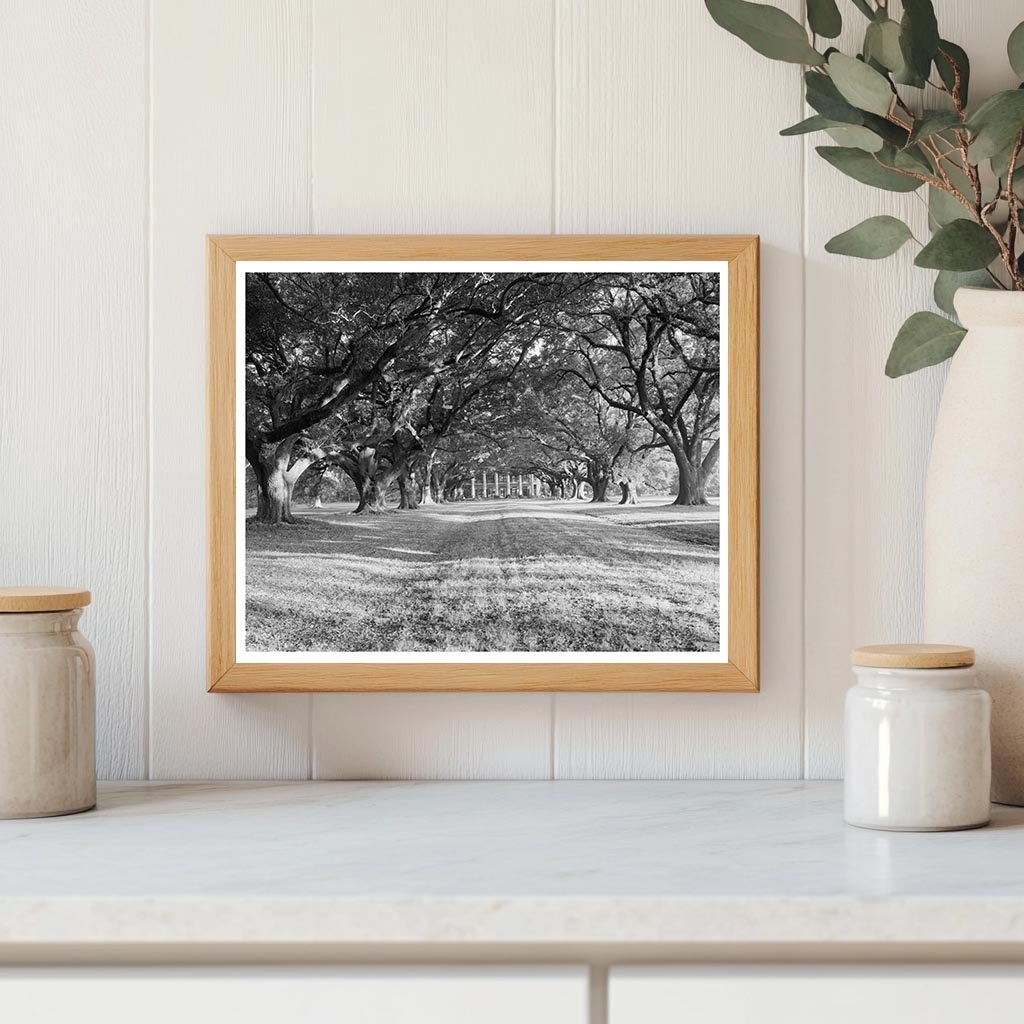 Bon Sejour Historic Home, Vacherie LA, 1836 Photo