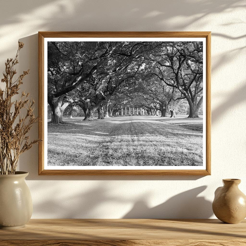 Bon Sejour Historic Home, Vacherie LA, 1836 Photo