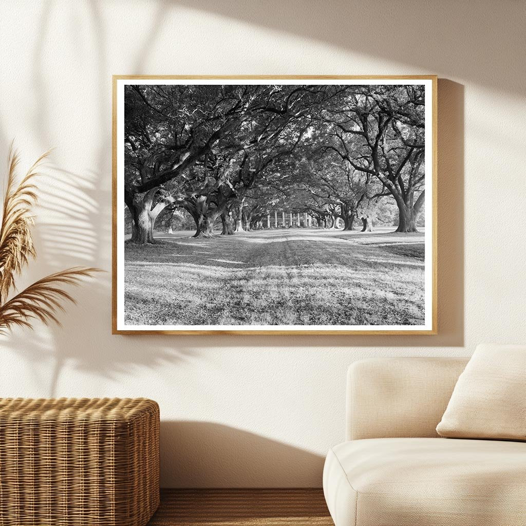 Bon Sejour Historic Home, Vacherie LA, 1836 Photo
