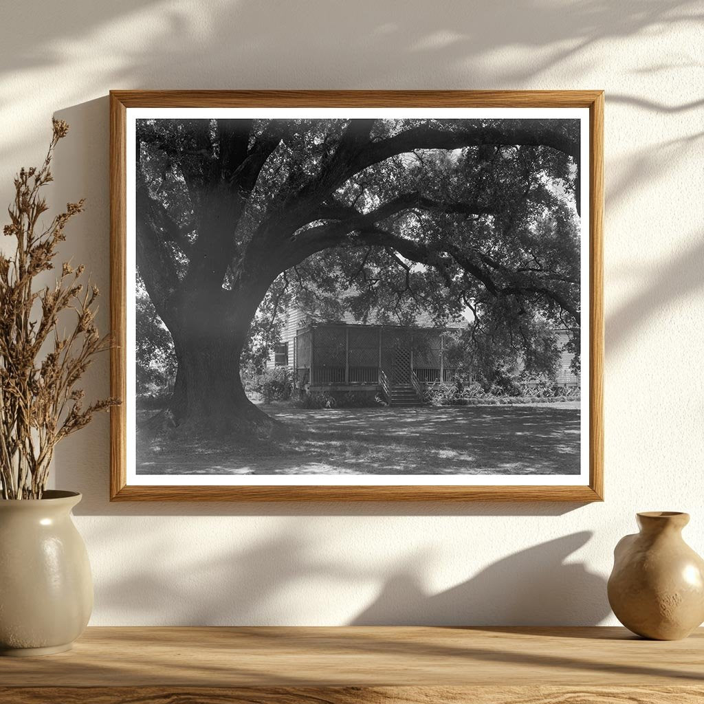 Donaldsonville, LA Vintage Home Photo, 20th Century