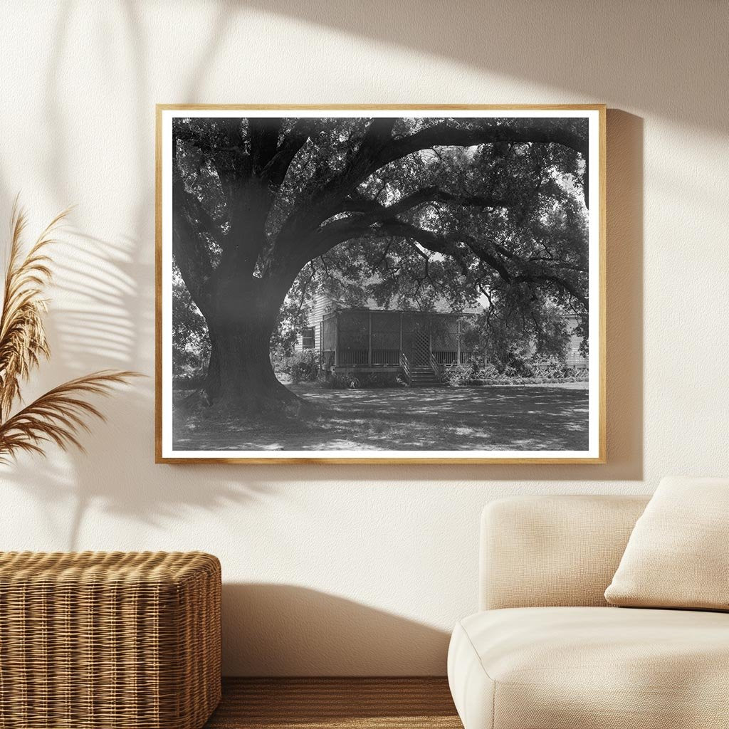 Donaldsonville, LA Vintage Home Photo, 20th Century
