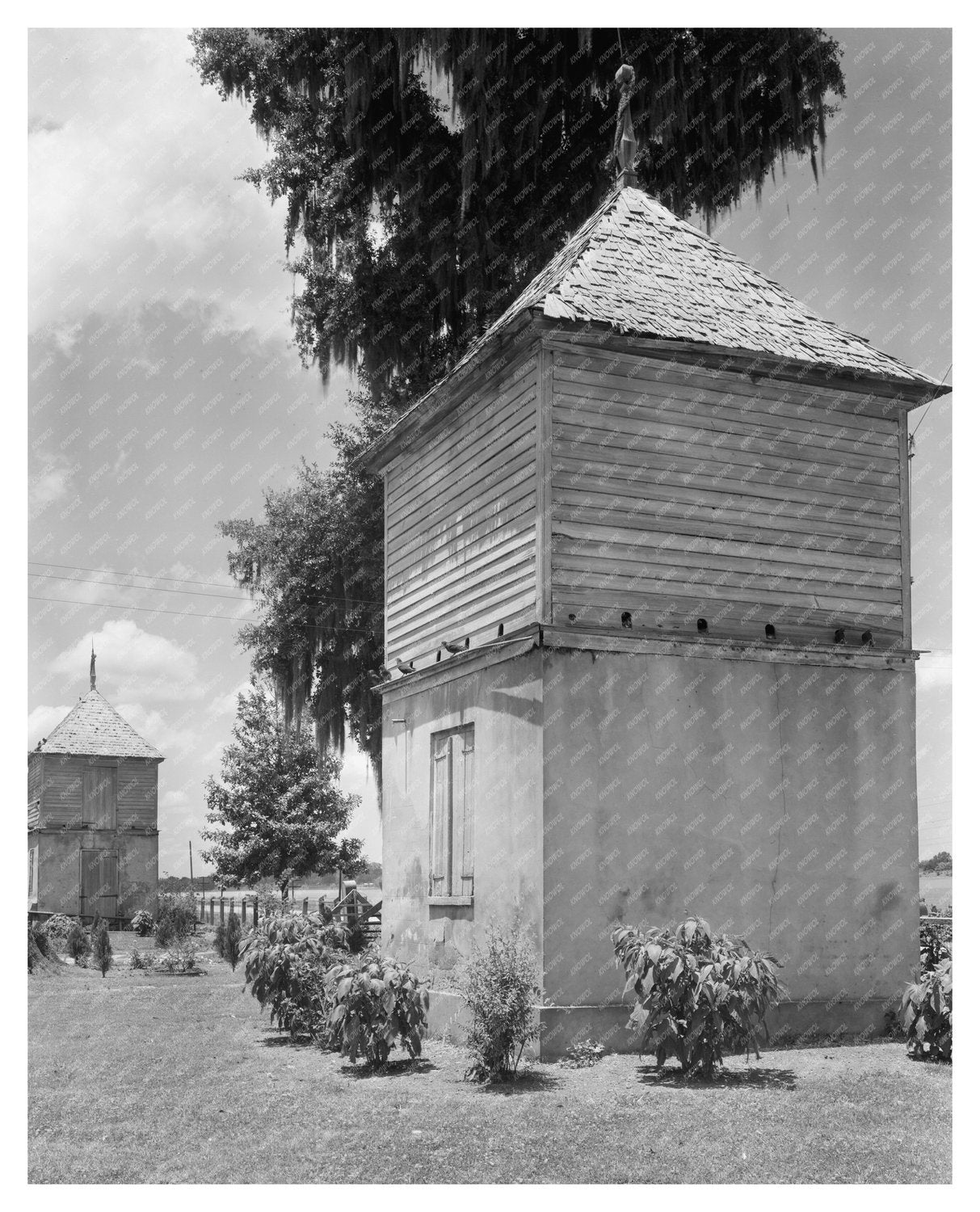 Vintage Photo of Louisiana Architecture, Point Coupee Parish
