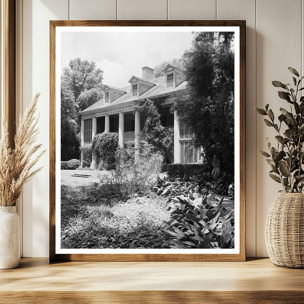 Shadows on the Teche, New Iberia LA, 1830 Vintage Photo
