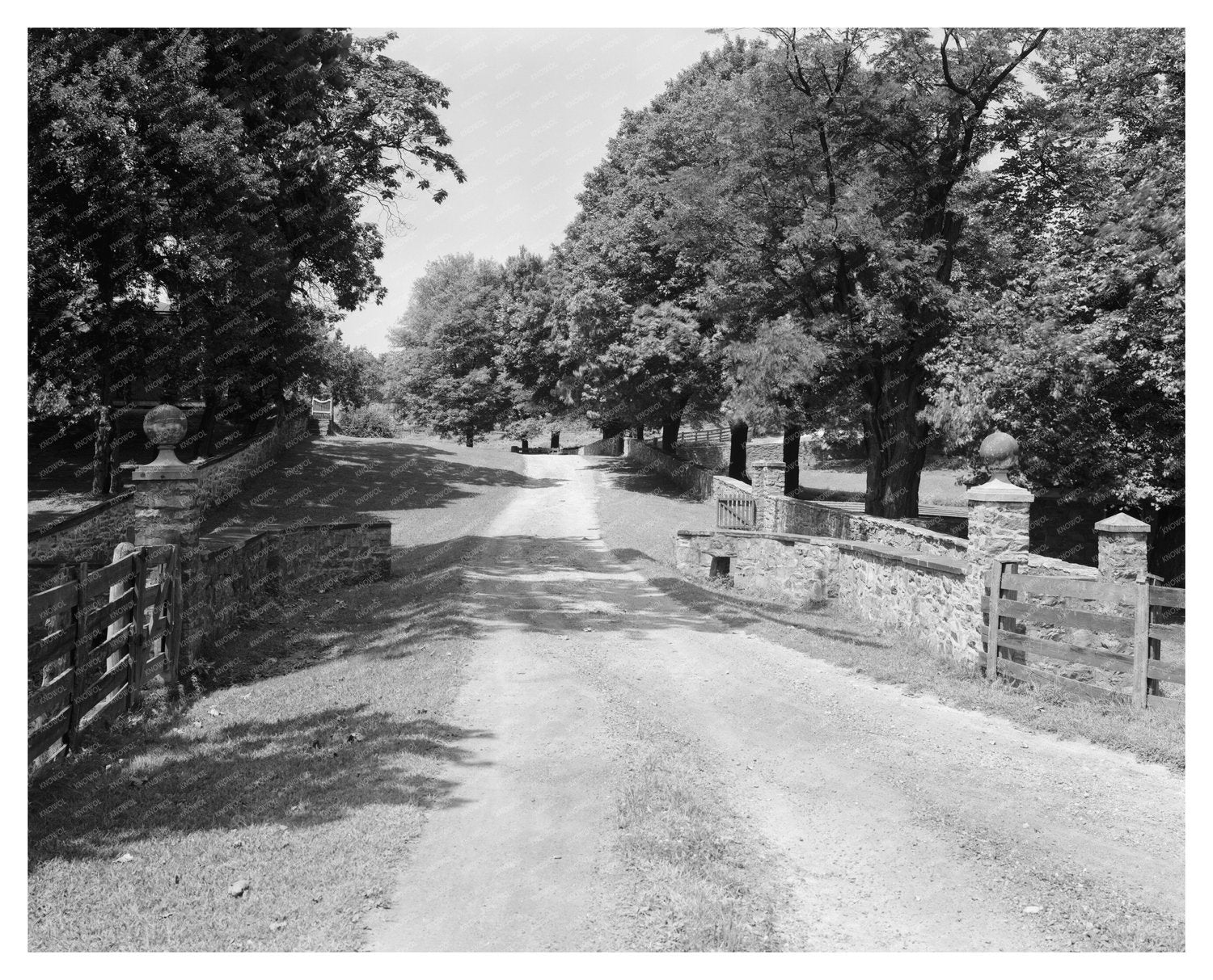 Vintage Photo of Craddocks Estate, Baltimore County, 1953