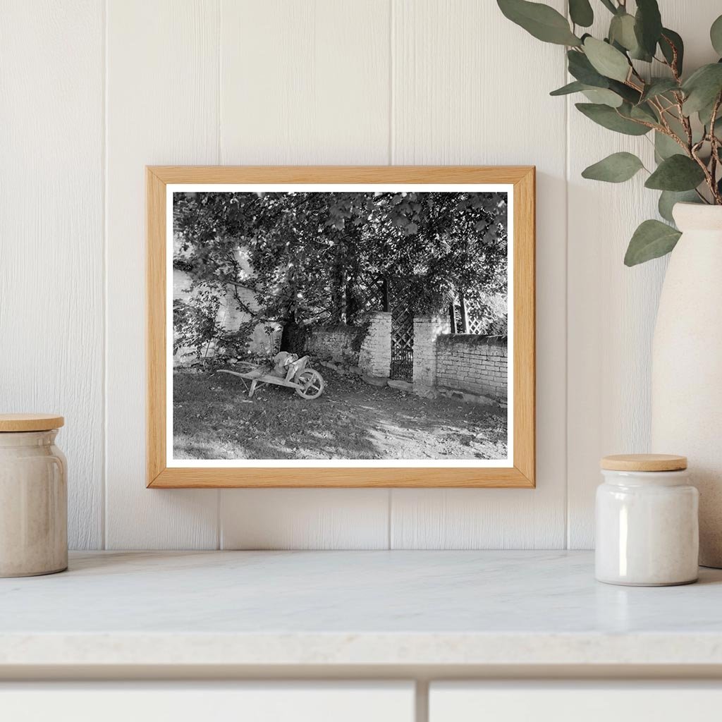 Owings Mills, MD 1725 Architectural Photo by Frances Benjami