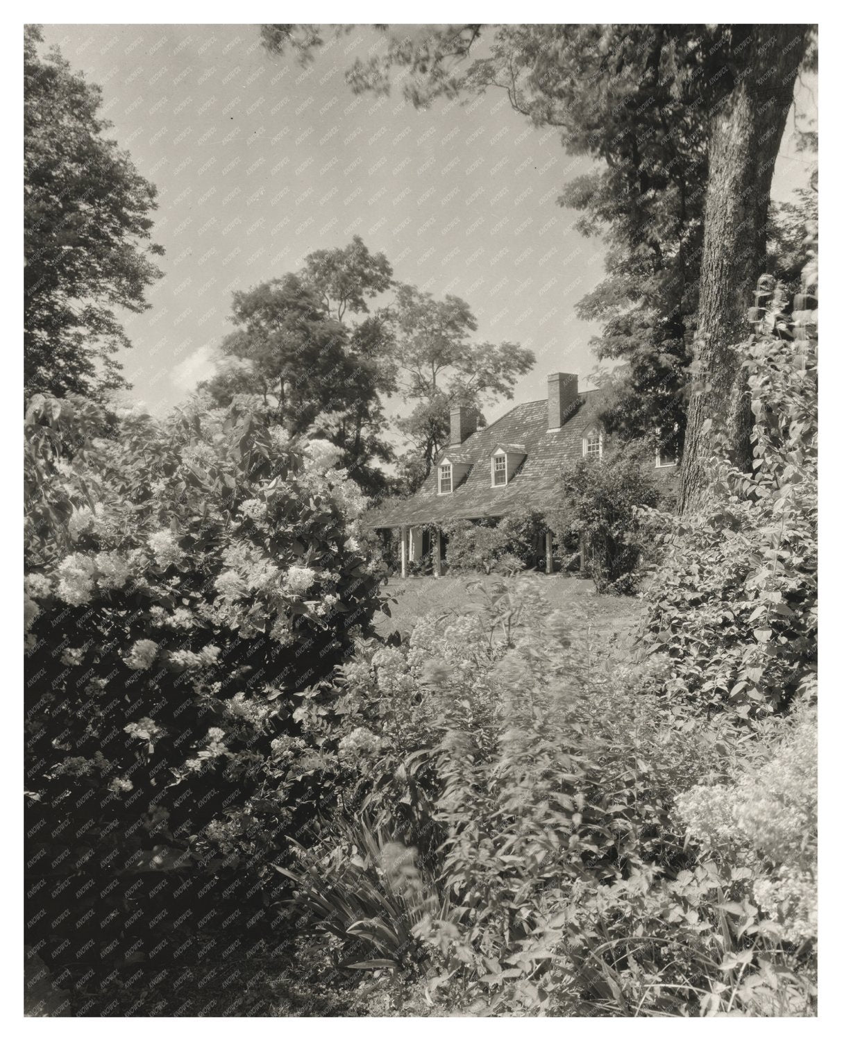 Vintage Baltimore Residence Photo, Maryland, 20th Century