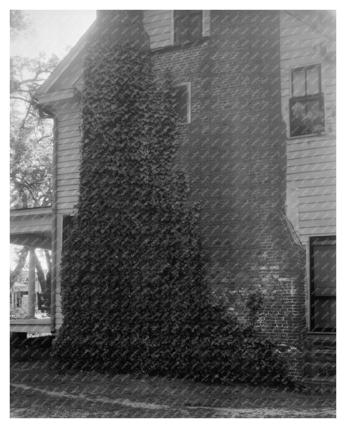 Historic Homes in Washington, NC - Early 20th Century