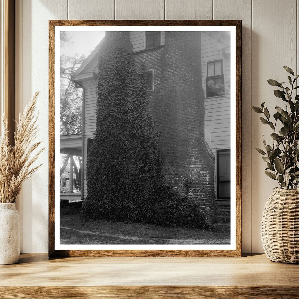 Historic Homes in Washington, NC - Early 20th Century