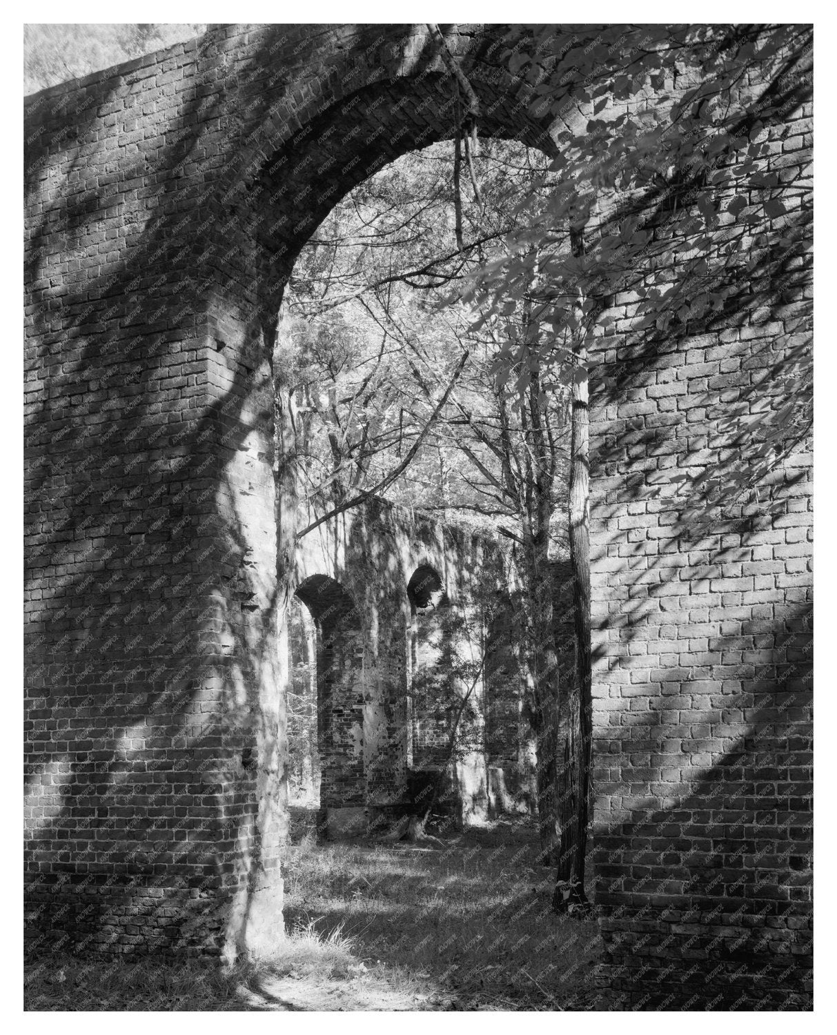 Ruined Church in Brunswick County, NC - 1941 Photo