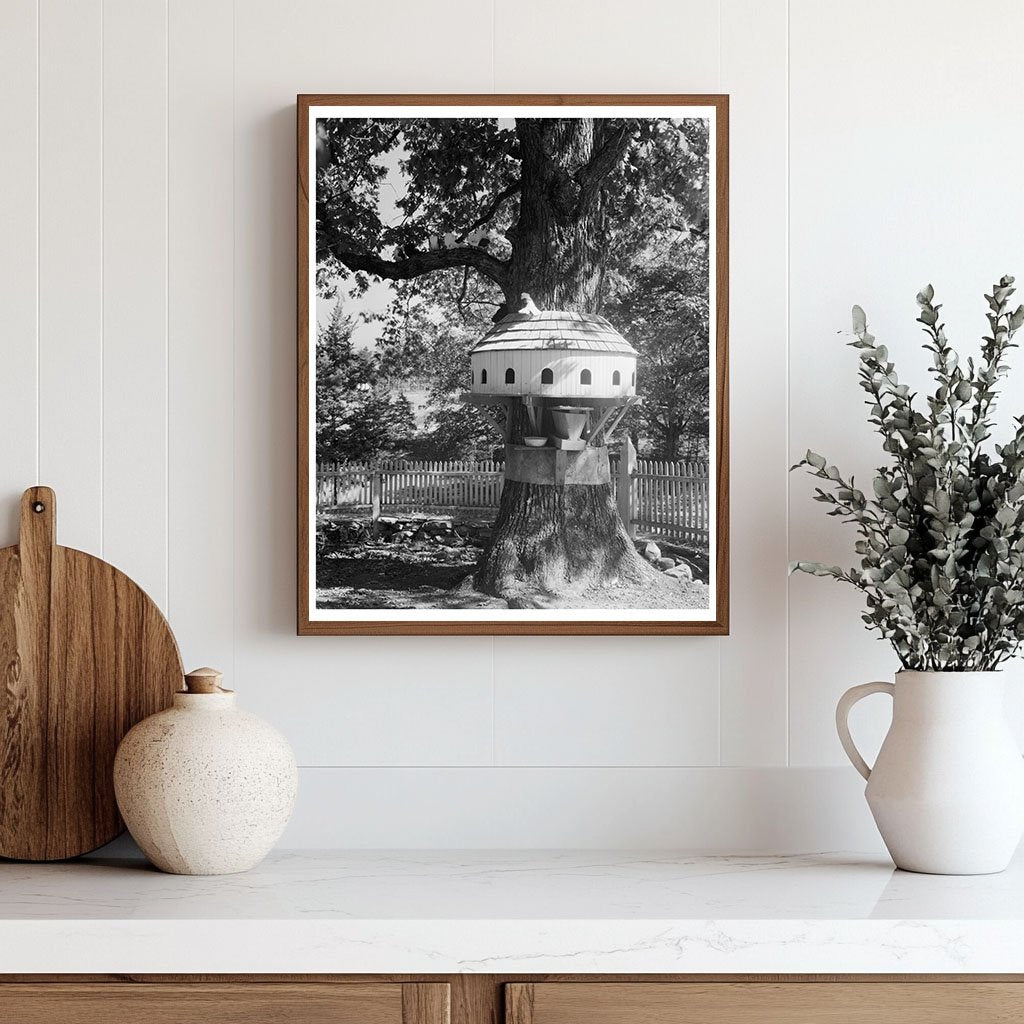 Yanceyville, NC Vintage Architecture Photo, 1800s