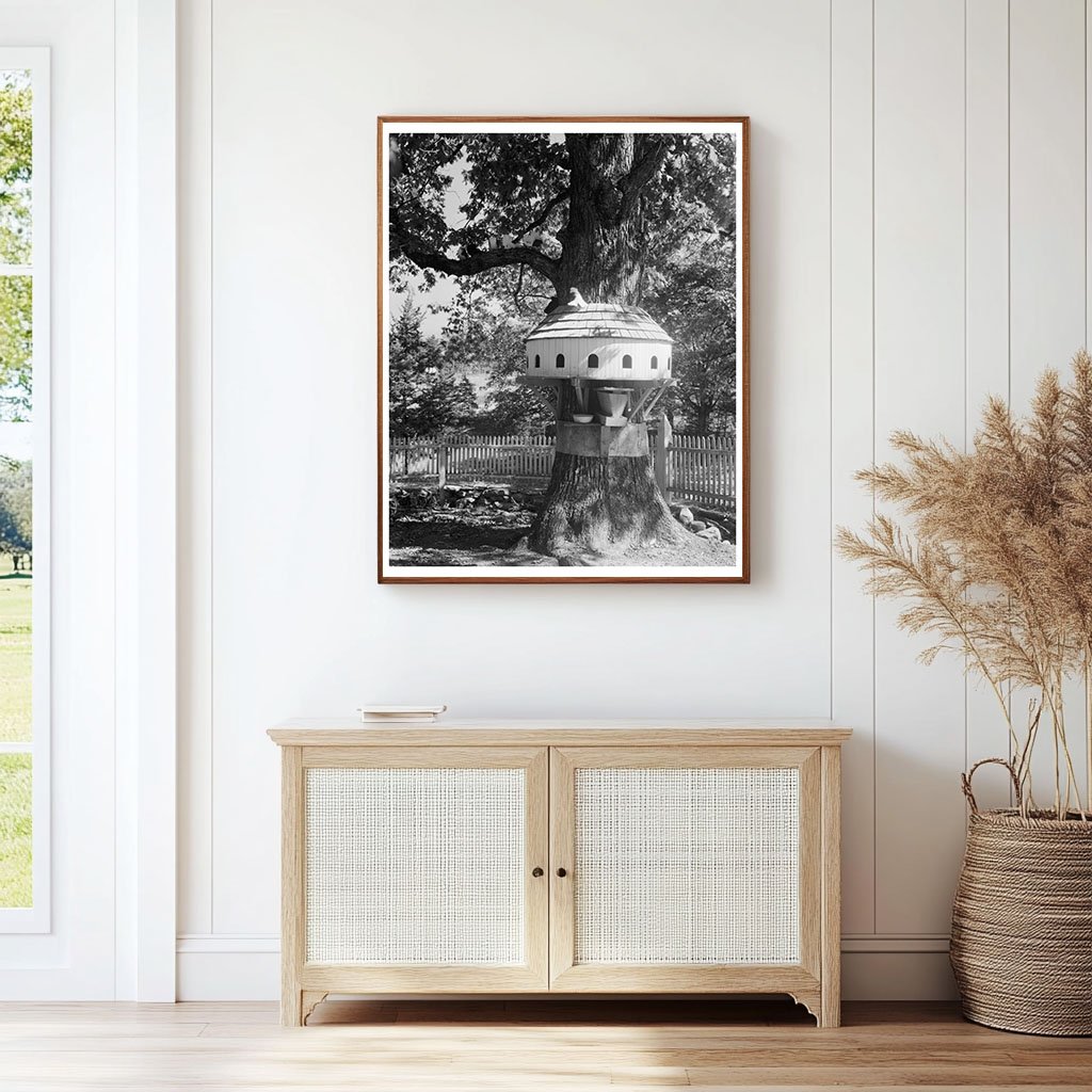 Yanceyville, NC Vintage Architecture Photo, 1800s