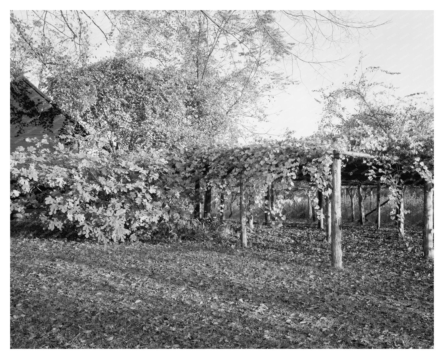 Historic Residence in Durham, NC - 1851 Architecture