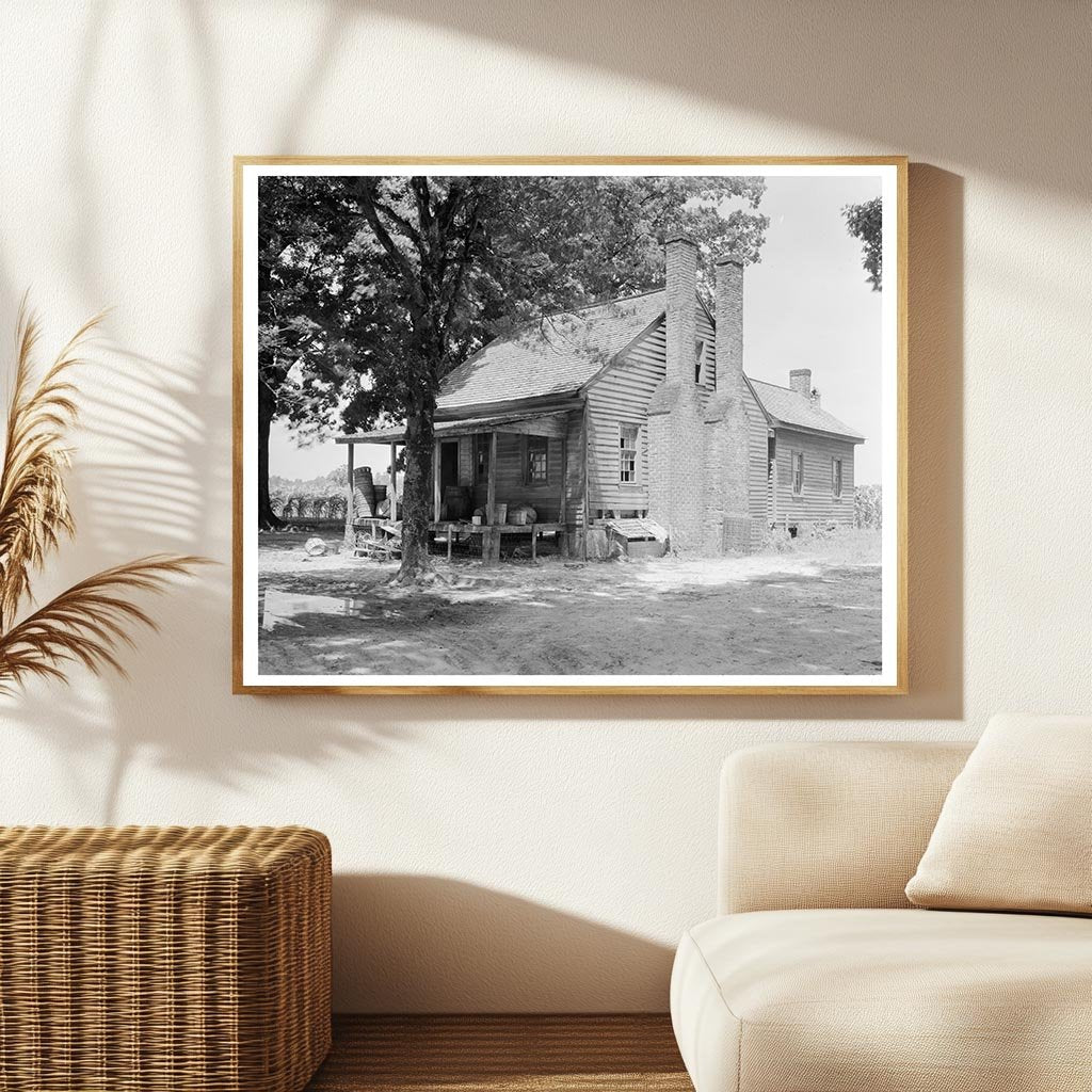 Mule-Driven Cotton Press in Tarboro, NC - 1953 History