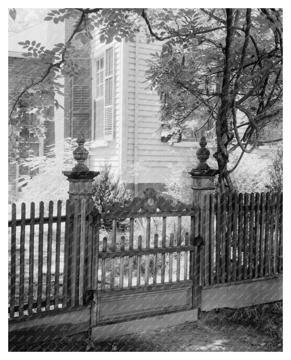 Old Sparta, NC: Historic Governor Carr Residence, 1826