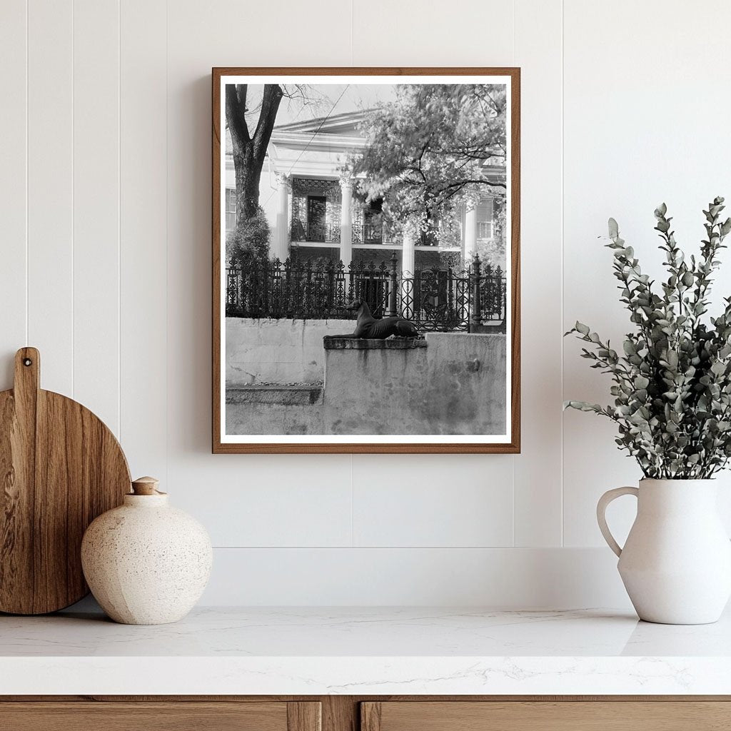 Winston-Salem 1849 Historic Dwelling Photograph