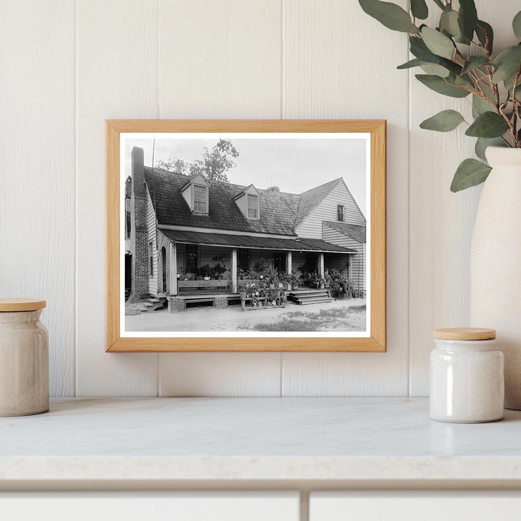 Crowells Cross Road, Halifax County, NC 1900s Architecture