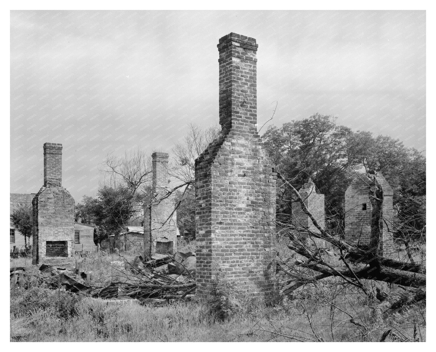 Historic Building Remnants in Halifax County, NC, 1953