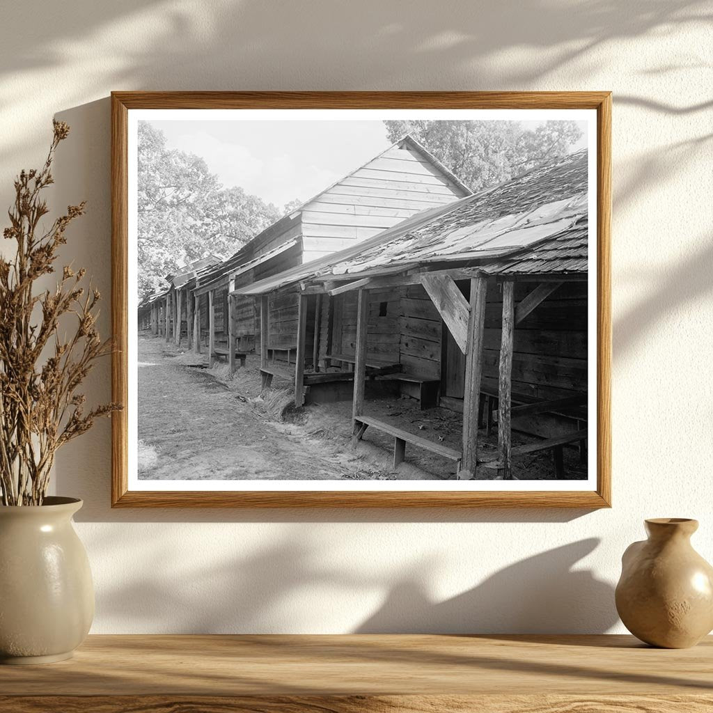 Denver NC Camp Scene, Early 20th Century Photograph