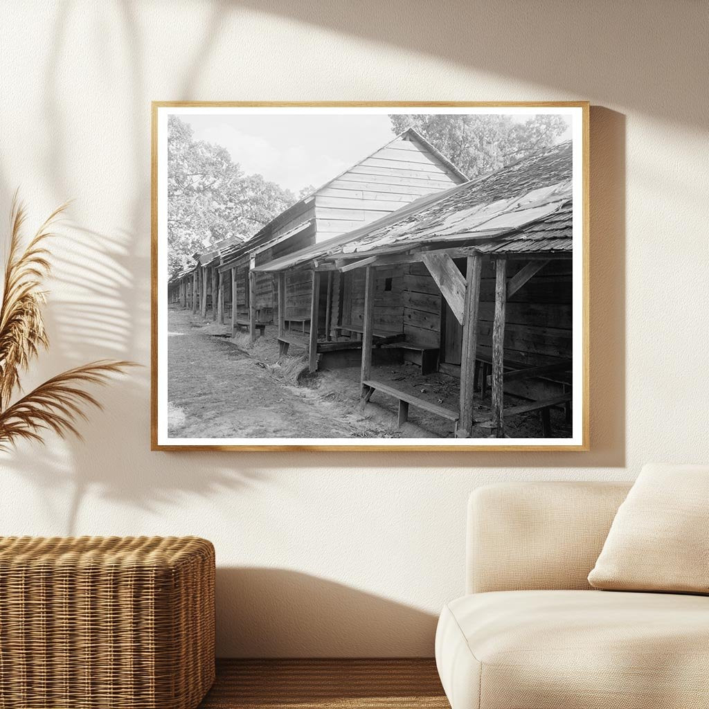 Denver NC Camp Scene, Early 20th Century Photograph