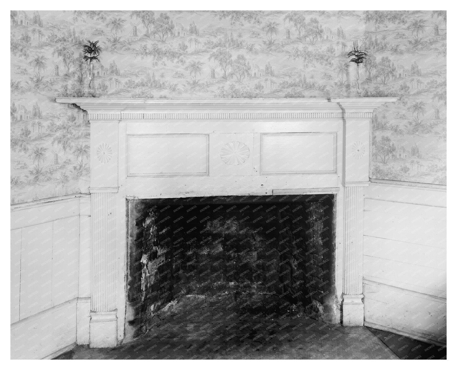 McDowell Home Architectural Photo, NC, Early 1900s