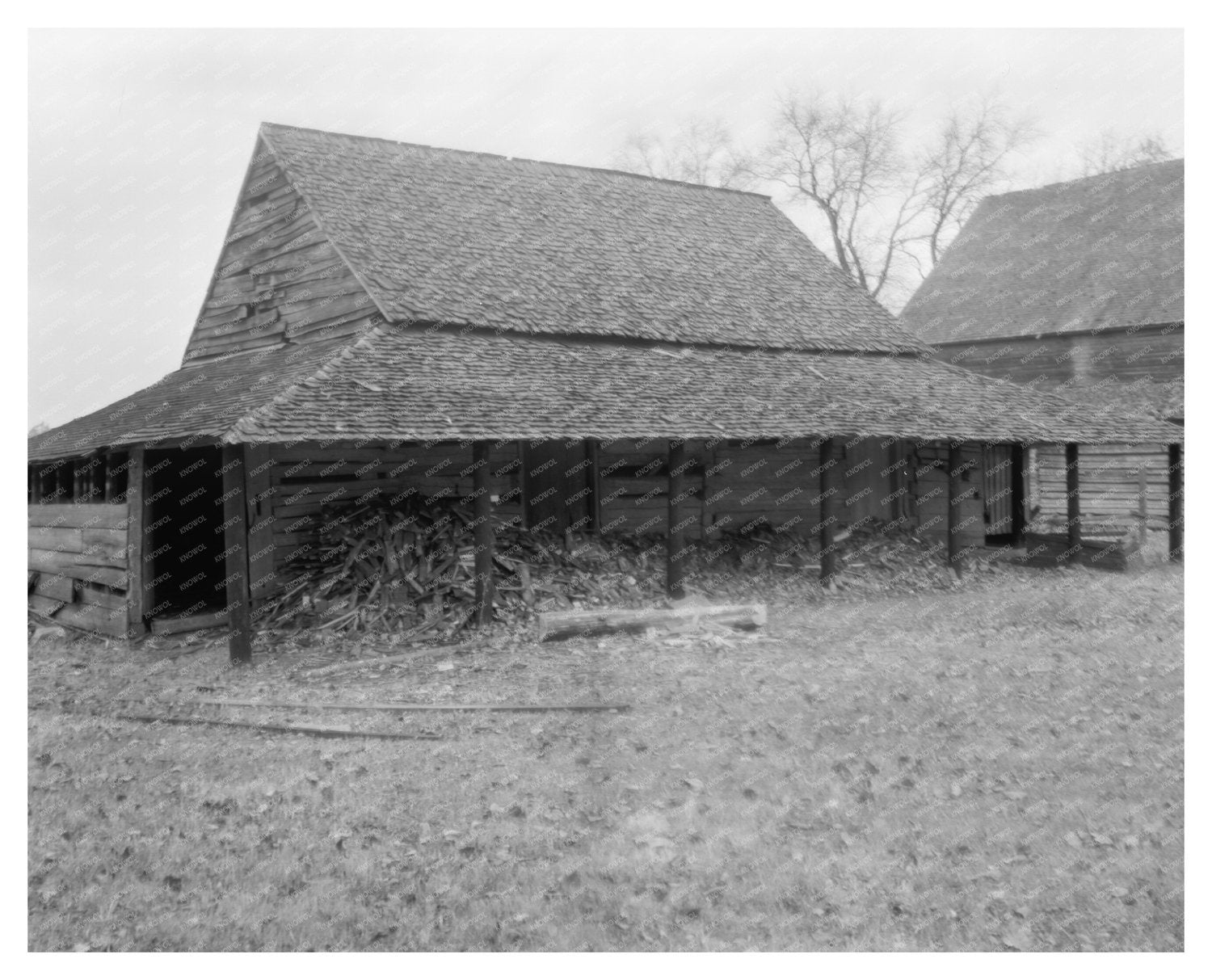 Rosedale Home, Charlotte NC, Historic Photo 1780