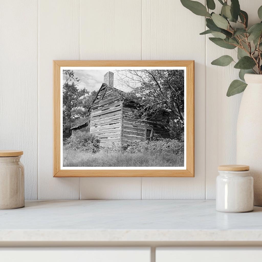 1726 Log Cabin in Charlotte, NC - Architectural History