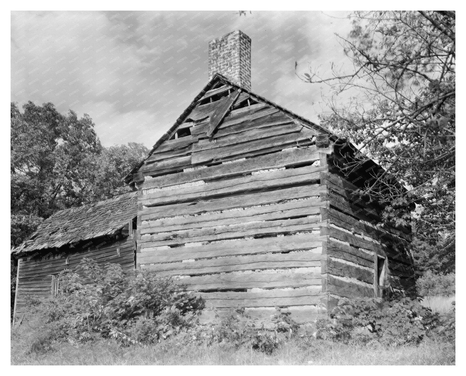 Log Cabin, Mecklenburg County, NC, 1726 - Vintage Photo