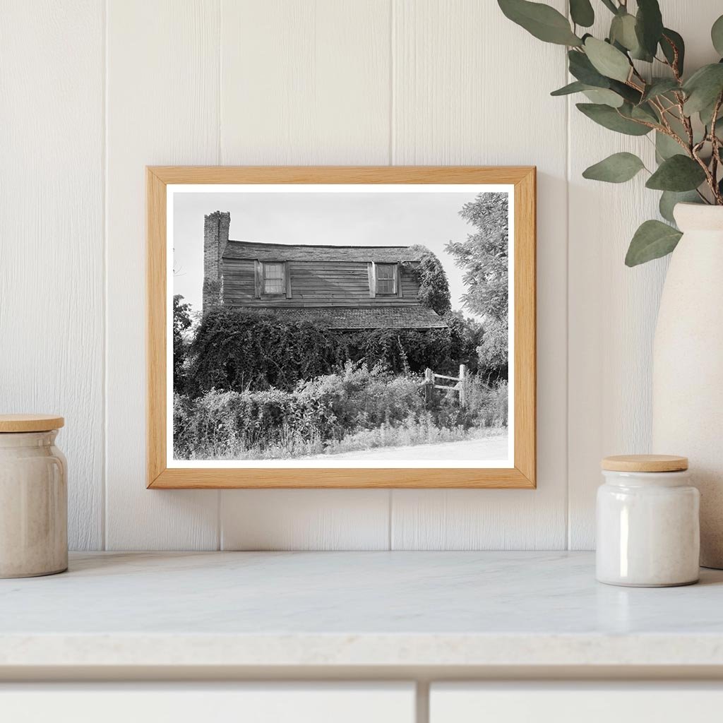 Abandoned Building in Nixtonton, NC - Early 1900s Photo