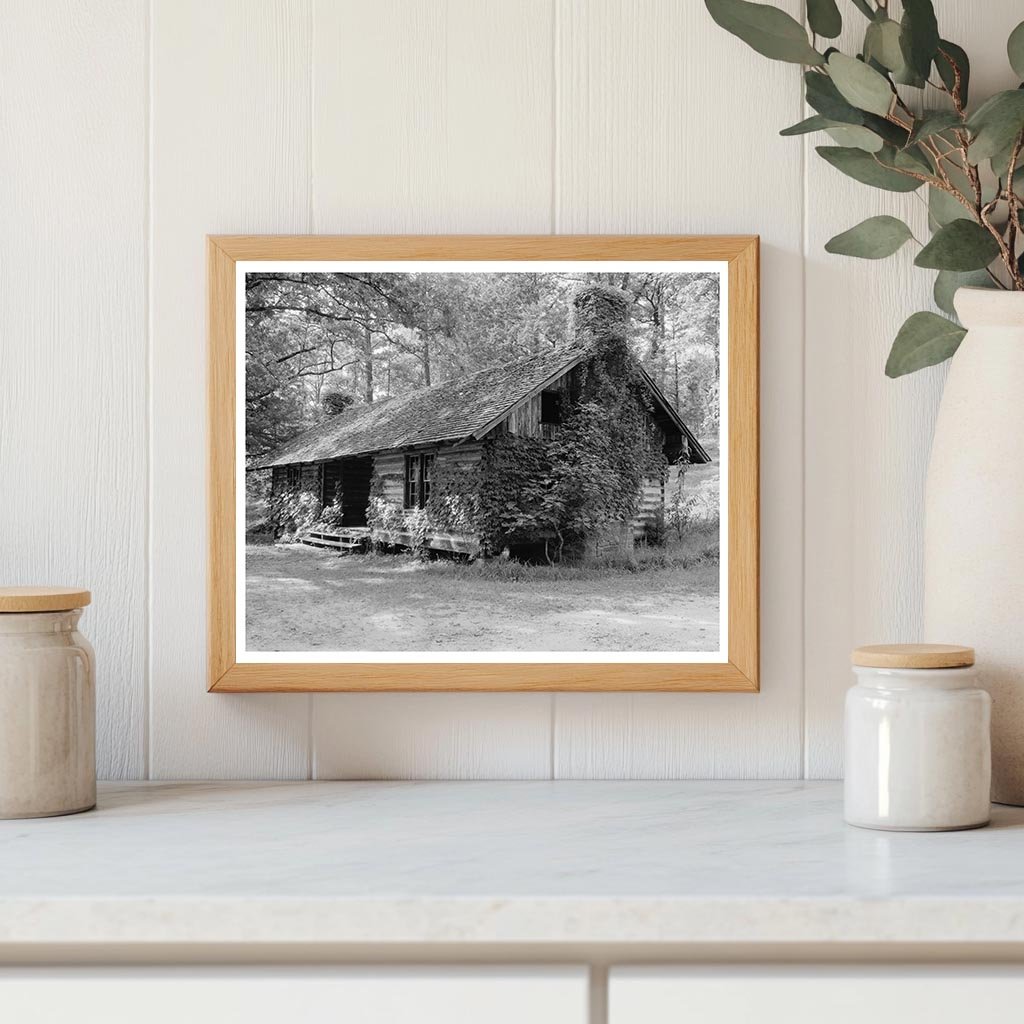 Historic 1799 Cabin in Polk County, NC - 1953 Photo