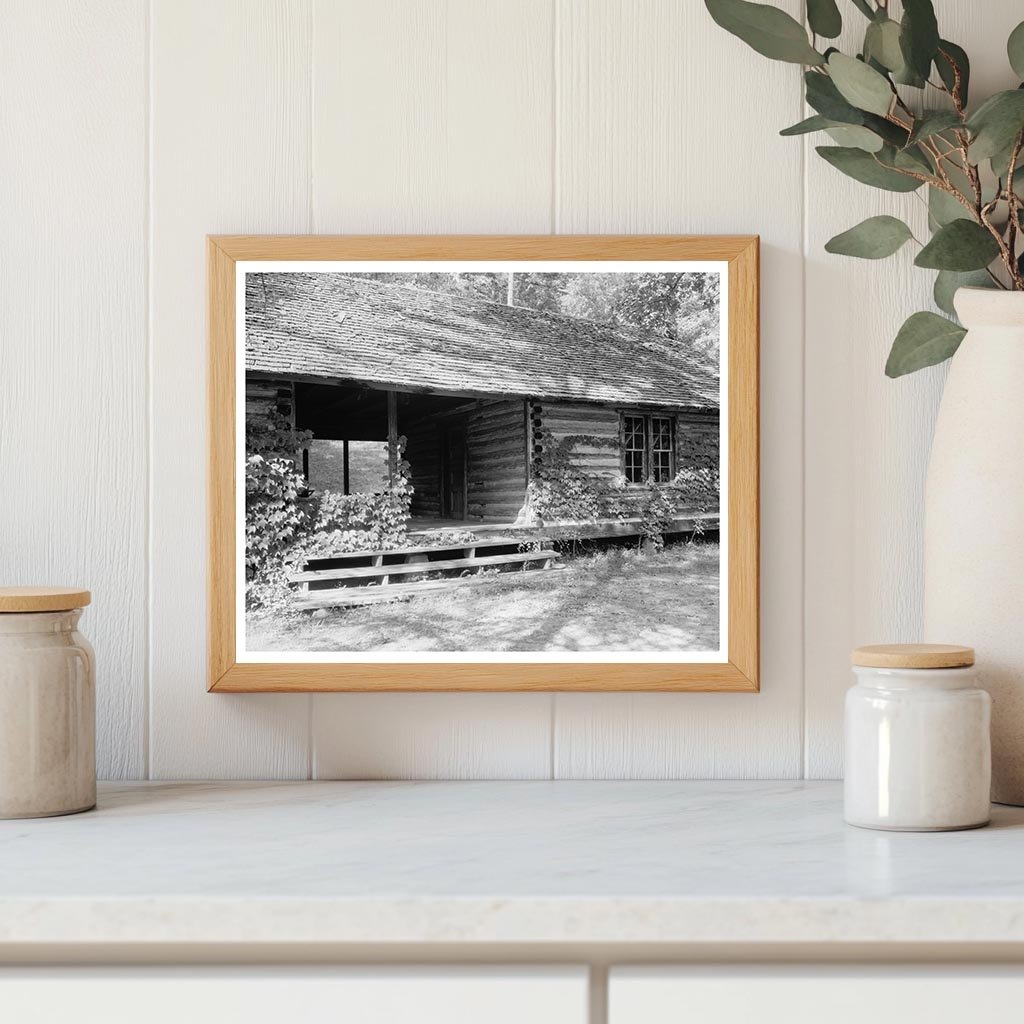 1799 Cabin in Polk County, NC - Carnegie Survey Image