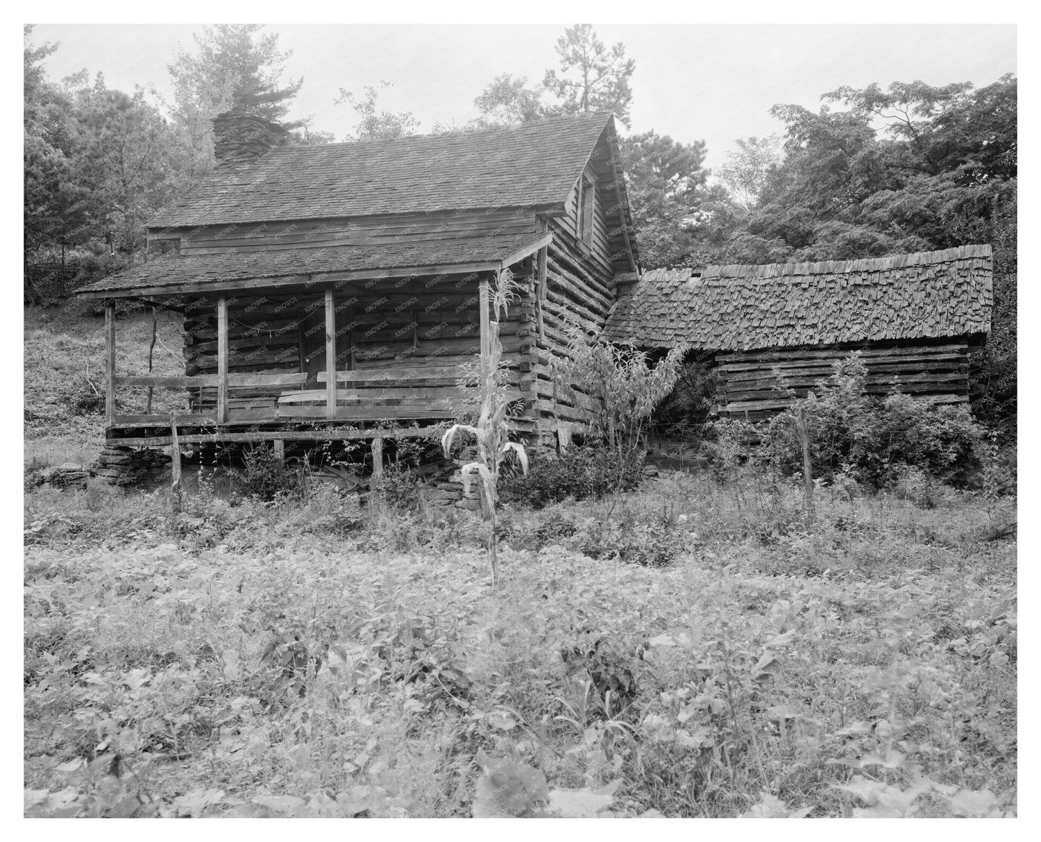 Log Cabin in Saluda, NC, 1790: Historic Architecture
