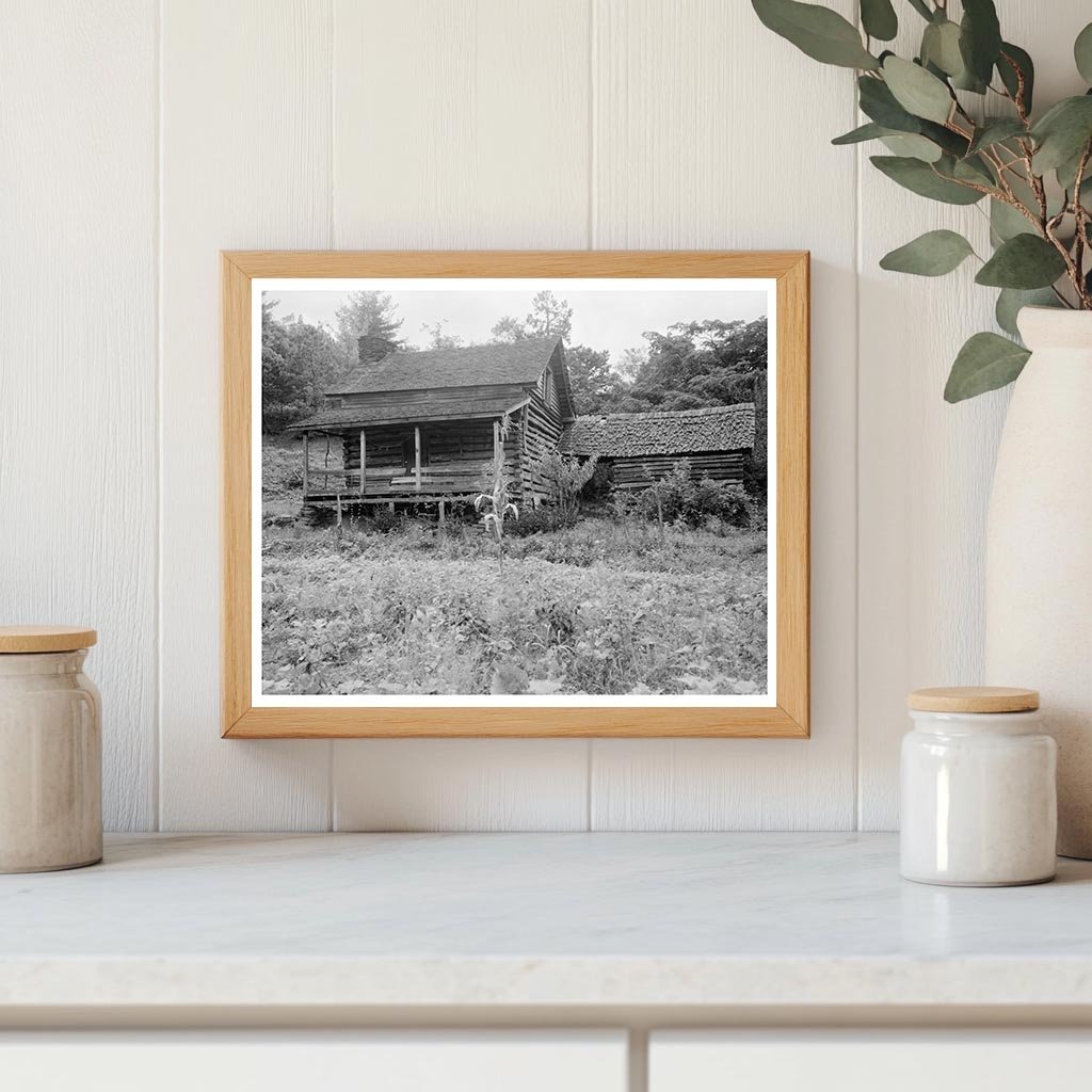 Log Cabin in Saluda, NC, 1790: Historic Architecture