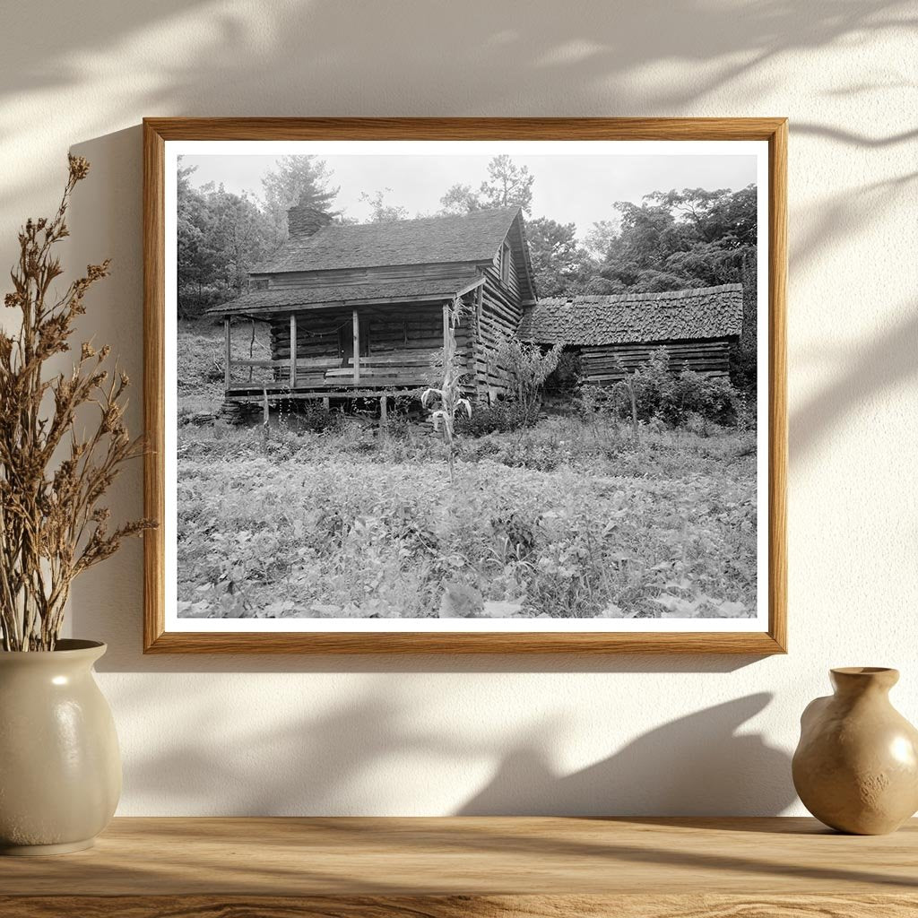 Log Cabin in Saluda, NC, 1790: Historic Architecture