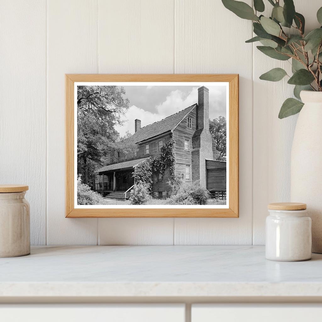 Cedar Walk, Williamsboro NC, Vintage Photo, 1953
