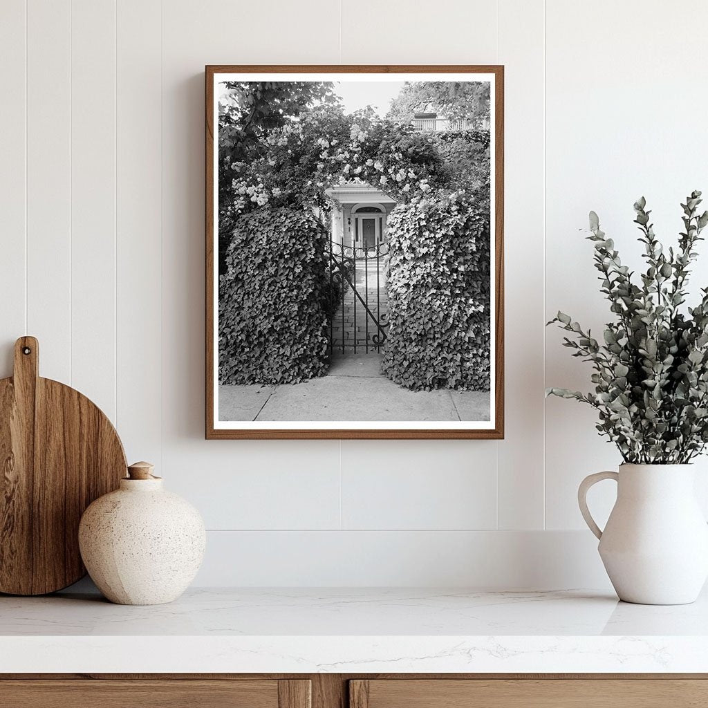 Warrenton NC Vintage Architecture Photo, Early 20th Century