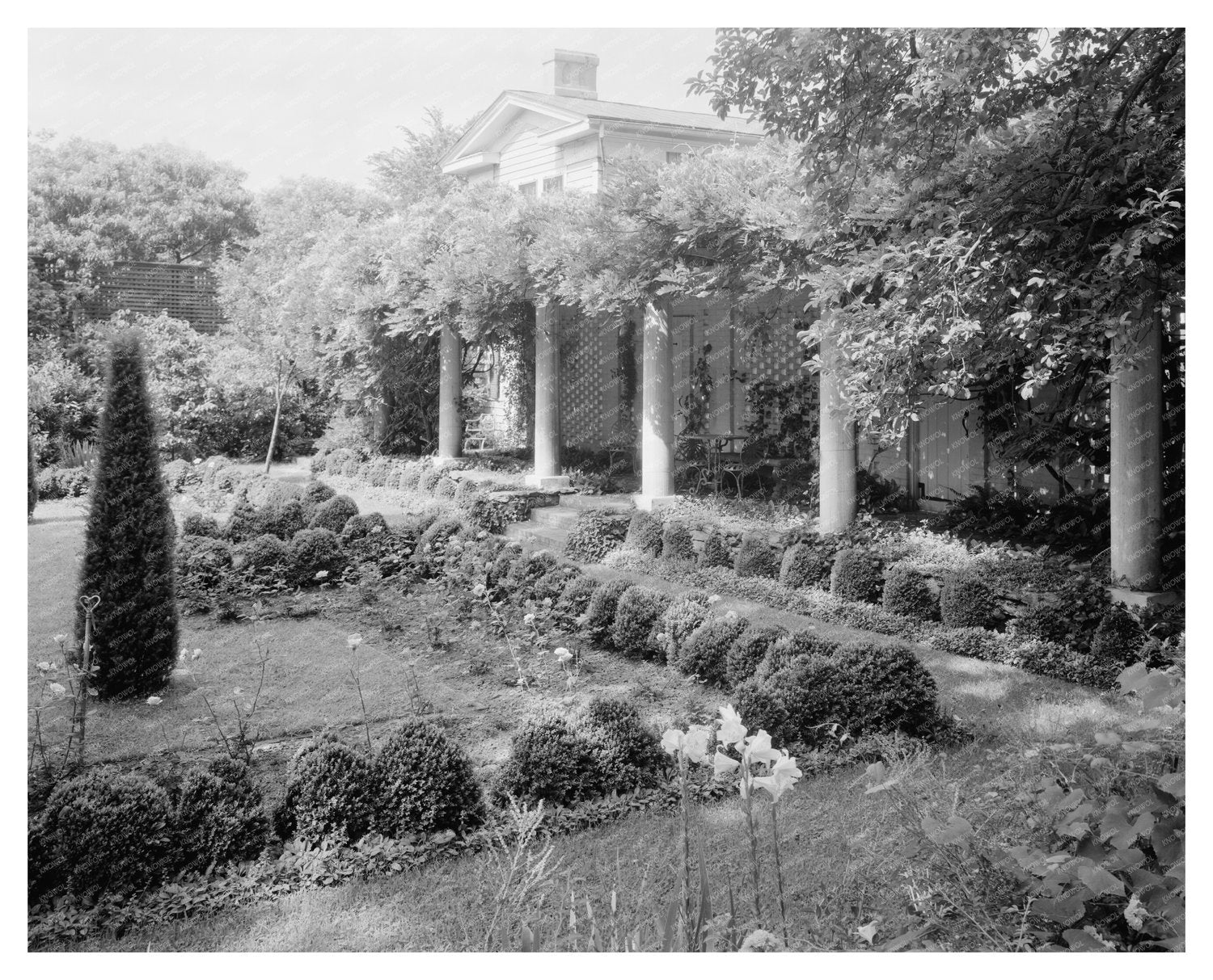 Warrenton NC Architecture Garden Photo Early 1900s