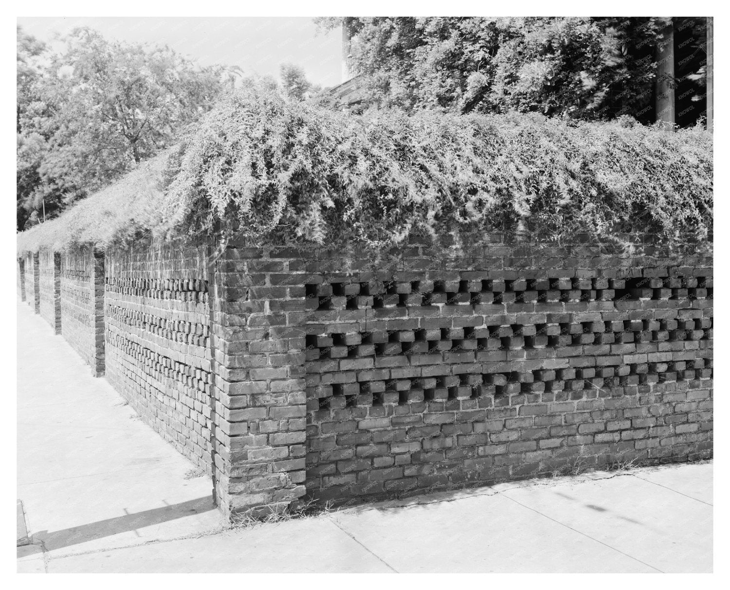 Charleston SC Architecture, Early 20th Century Photo