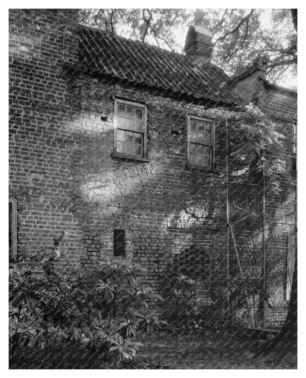 Charleston SC Historic Architecture Photo, Circa 1835