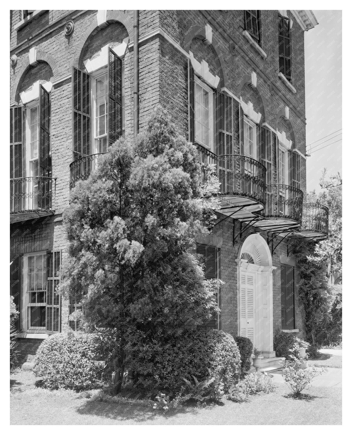 Nathaniel Russell House, Charleston SC, 1953 Photo